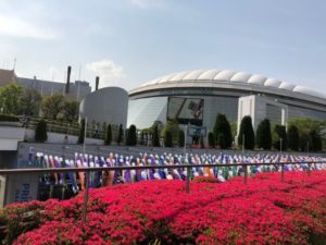 東京ドーム　春