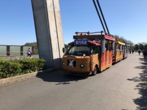 国営ひたち海浜公園