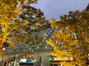 #秋の東京ドーム
