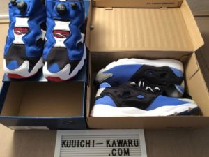 ポンプフューリーとフューリーライトの箱　画像