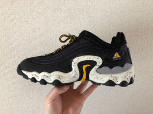 エアスカーン画像