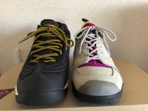 スカーンとリバデルチ